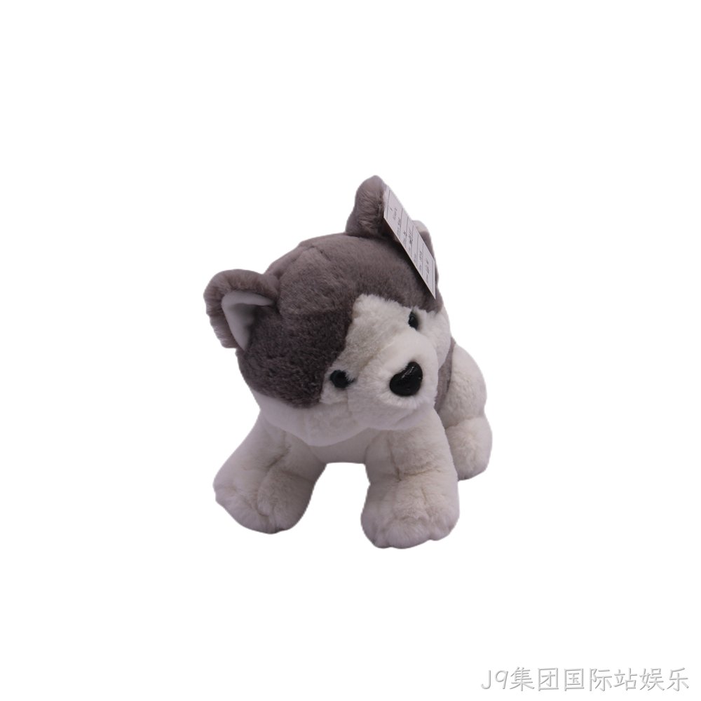 哈士奇