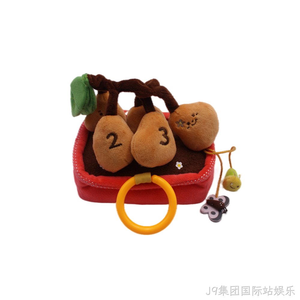 土豆盆栽