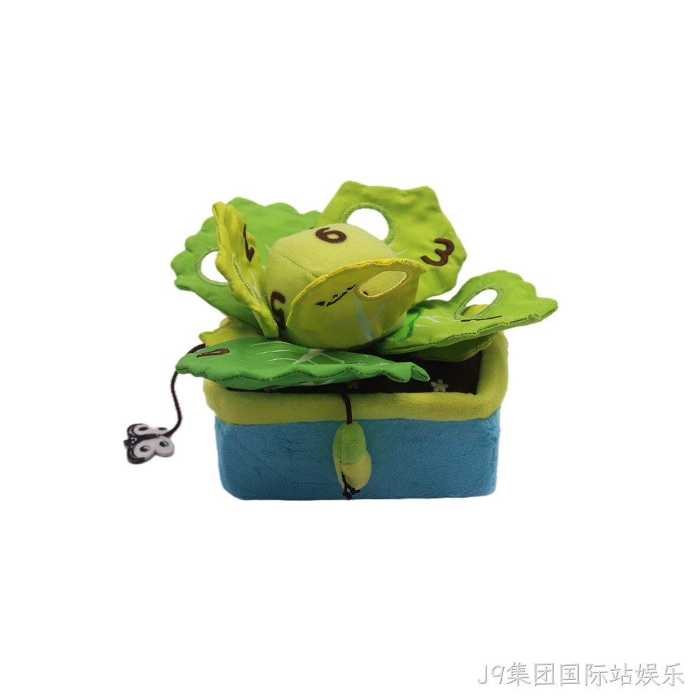 包菜盆栽